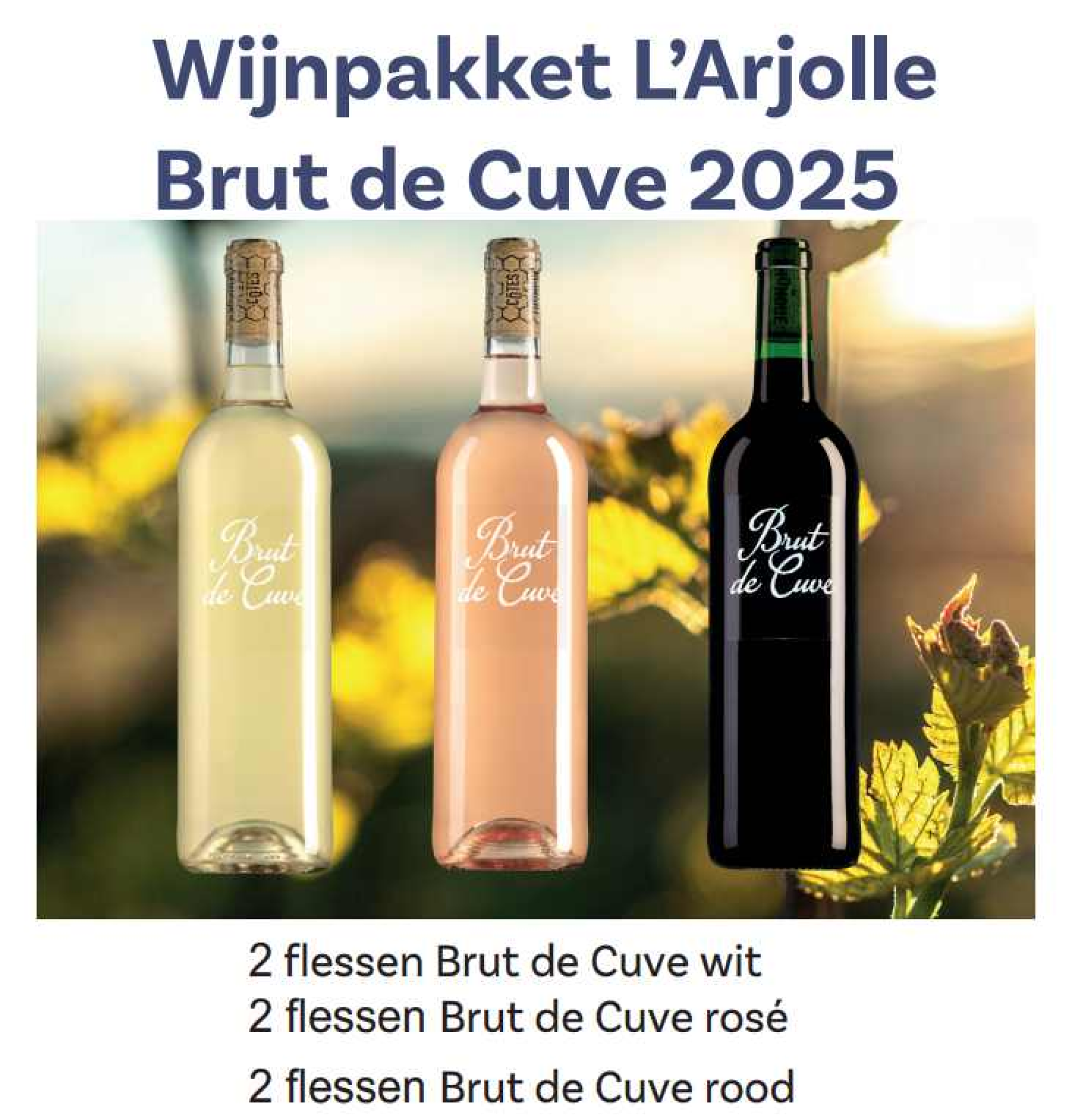 Wijnpakket Brut de Cuve 2025