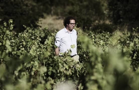 Wijnmaker Bertrand Sourdais